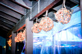 heidiborgiaphotography-14