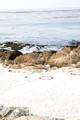 heidiborgiaphotography383-2